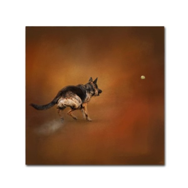 Trademark Fine Art Jai Johnson 'Gimme That Ball German Shepherd' Canvas Art, 35x35 ALI14271-C3535GG
